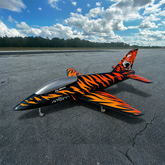 Boomerang ATOM - Belgian Tiger Scheme PNP