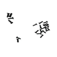 RC ERA C190 Screw Set