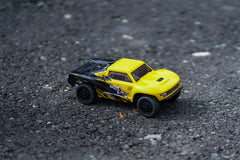 HobbyPlus 1:24 2WD SPECK-SCT