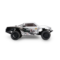 HobbyPlus 1:24 2WD SPECK-SCT Brushed