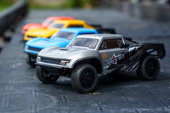 HobbyPlus 1:24 2WD SPECK-SCT BRUSHLESS