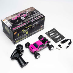 HobbyPlus SPECK-T 1/24 2WD Stadium Truck RTR