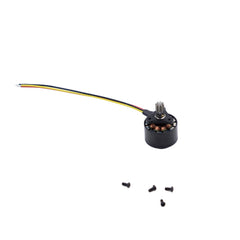 RC ERA C170 Main Motor