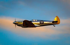 Boomerang Silver Spitfire ARF