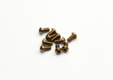 Reflex Racing Titanium M2x4 BH Screws (10pcs)