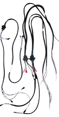 Standard Harness for a Boomerang Atom Squared