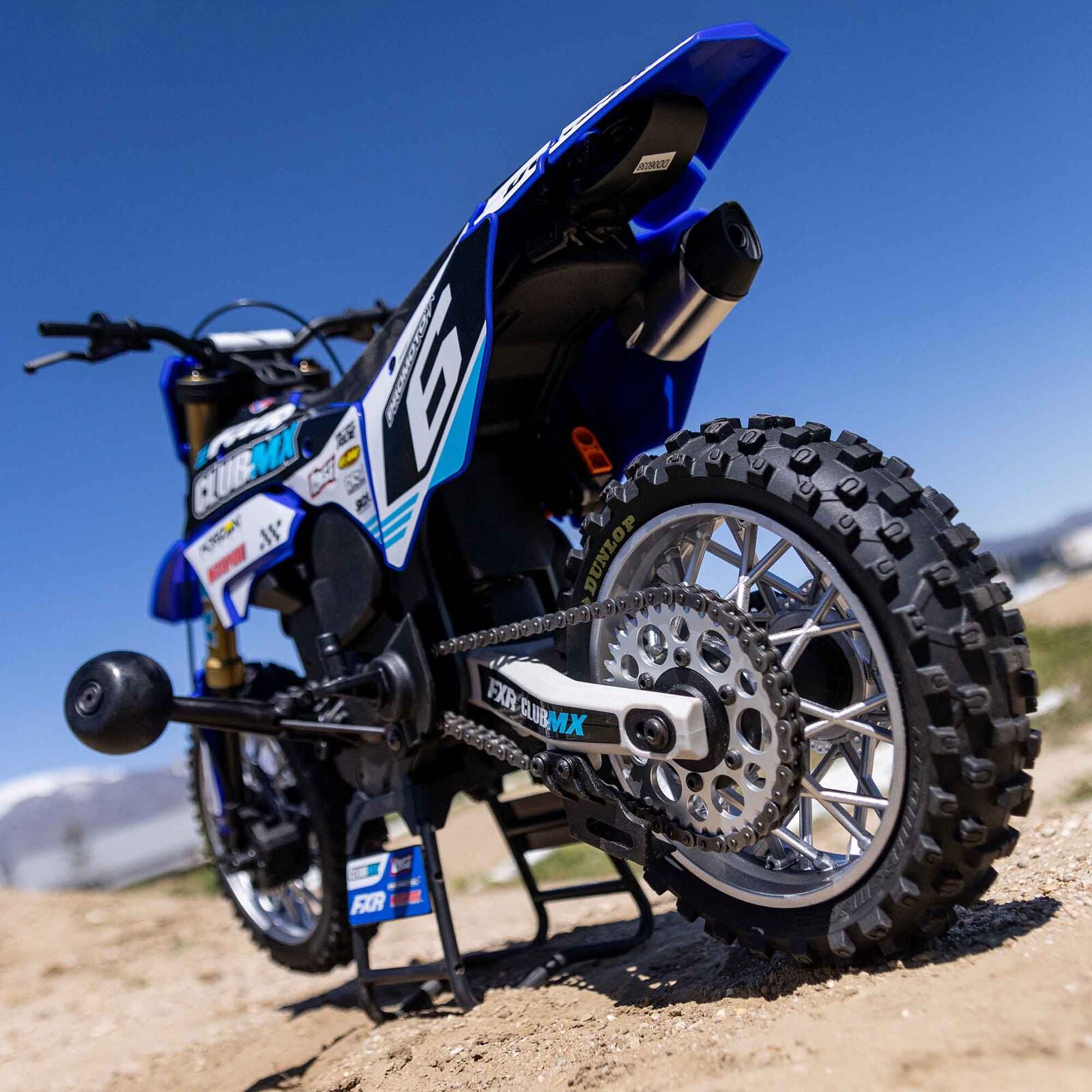 Losi 1/4 Promoto-MX Motorcycle RTR, Club MX - BLUE - HeliDirect