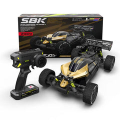 Rlaarlo Storm Breaker 1/10 Carbon Fiber Brushless RTR 4WD Buggy