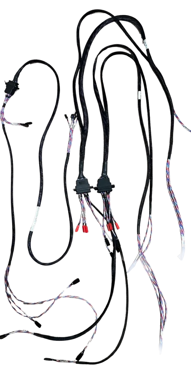 Standard Harness for a Boomerang Atom Squared